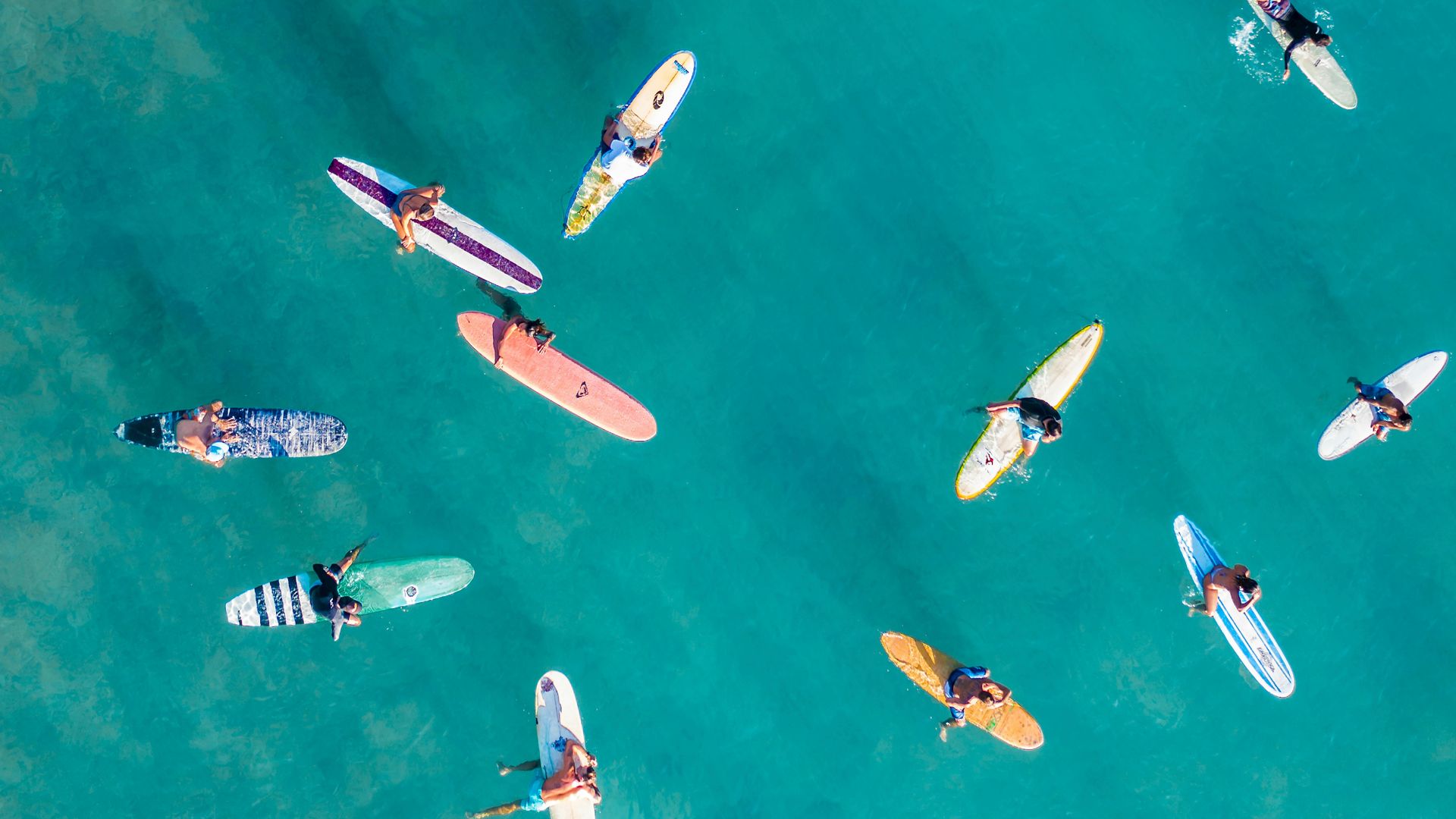 Birds eye view of surfers on their boards in the ocean